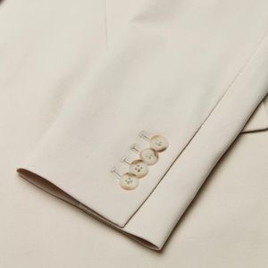 Aritzia Babaton Vogue Blazer